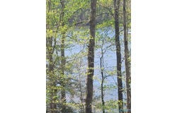 458 County Road 4036, Arley, AL 35541