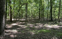 143 Terrapin Pointe, Hodges, SC 29653