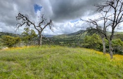 9 Pennyroyal, Prather, CA 93651