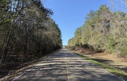 38 AC +/- Indian Hill Rd, Richton, MS 39476