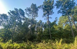 72 Eagle Pine Lane, Hochatown, OK 74728