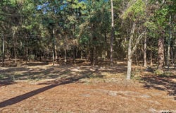 Lockhart St, Pittsburg, TX 75686
