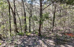 Gumbo Woods lot: #46, Shell Knob, MO 65747
