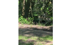 Skaggs Springs Road, Geyserville, CA 95441