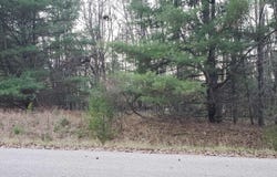 Robindale Way, Gladwin, MI 48624