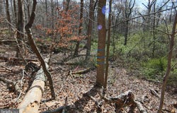 S FORGE ROAD, PALMYRA, PA 17078