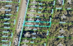 7338 TREIMAN Boulevard, WEBSTER, FL 33597