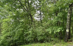 Camp Mountaineer Road, Morgantown, WV 26508