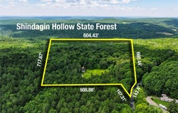 331 Downey Road, Brooktondale, NY 14817