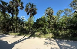 COUNTY ROAD 75, BUNNELL, FL 32110