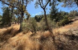 163 Oak Road, Midpines, CA 95345