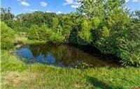 Spring Bluff Road, Sullivan, MO 63080