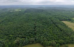 80 Thousand Road, Gillham, AR 71841