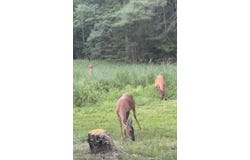 3518 County C, Rhinelander, WI 54501