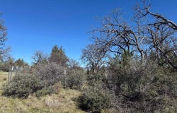 Whitepine St, Hornbrook, CA 96044