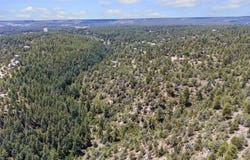 285 Logging Trail Road, Durango, CO 81303