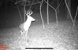 Lookout Point lot: 13, Bruner, MO 65620