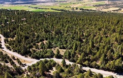 Old Relay Road, Ridgway, CO 81432