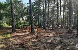 2970 Pristine Dr, Carrabelle, FL 32322