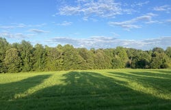 1480 BRUCE Rd E, Whiteville, TN 38075