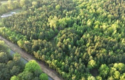 County Rd 8, Sheridan, AR 72150