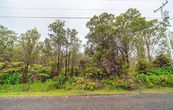 11-3051 ANUHEA ST, Volcano, HI 96785
