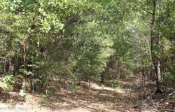 6 Star Landing Road, Nesbit, MS 38651