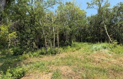 2298 Bluff Rd, Sidney, IA 51652