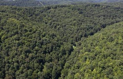 Gluck Run, Glenville, WV 26351