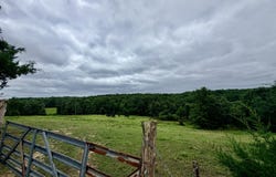 County Road 585, Winona, MO 65588