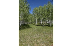 Divide/ Davewood Road, Montrose, CO 81403