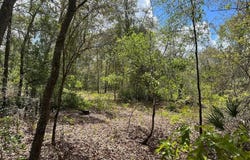 LADY BUG Lane, MELROSE, FL 32666