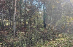 NKA Husak Road, Omer, MI 48749