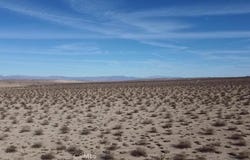 Charlotte Road, 29 Palms, CA 92277