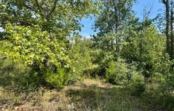 Tract 5 Private Rd 8385, Spurger, TX 77660