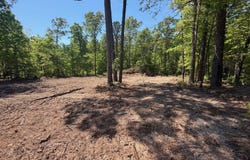 Whispering Pines Lane, Licking, MO 65542