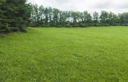 Ridgeview Road lot: 2, Floyd, VA 24091