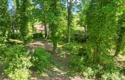 Oak Trail, Belmont, NC 28012
