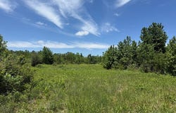 Tract 2 FM 114, DeKalb, TX 75559