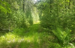 M13, L36, Harland Cunningham Road, Penobscot, ME 04476