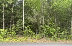 Gray Road, Templeton, MA 01468