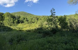 3012 Red Kill Road, Fleischmanns, NY 12430