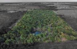 295 Hcr 3240, Mount Calm, TX 76673