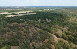 25 acres County Road 1019, Celeste, TX 75423