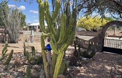 49570 Rainbow Dr, Quartzsite, AZ 85346
