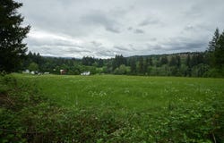 NE 389th St, Amboy, WA 98601