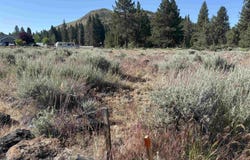 364 Wrangler Drive, Loyalton, CA 96118-5728