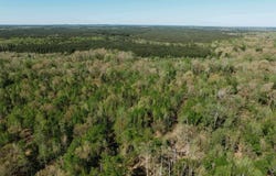 167 Highway, Fordyce, AR 71742