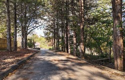 1100 E Robertson Street, Ozark, MO 65721