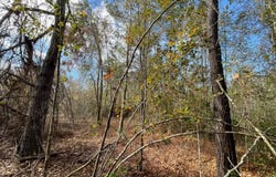 Adolph Kemp Rd, Greenville, FL 32331